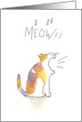 MEOW! In cat translated means card