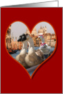 Geese on a Romantic Gondola Ride (Blank Inside) card