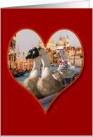 Geese on a Romantic Gondola Ride (Blank Inside) card