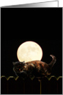 Full Moon Cat card