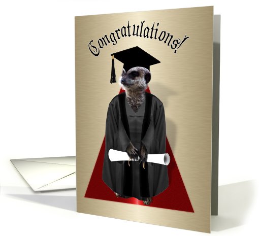 Congrats to the Graduate!, Meerkat in Cap & Gown card (624334)