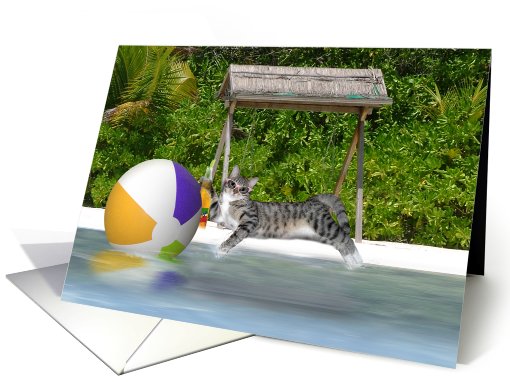 Cat on the Beach card (631580)