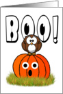 Cartoon Owl on Cute Pumpkin with BOO Text card