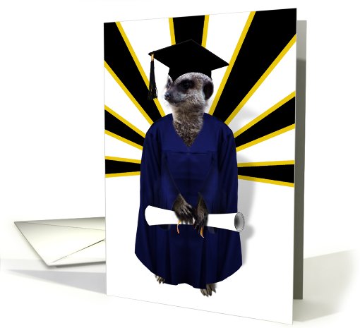 Congratulations, Meerkat with Graduation Cap, Gown and Diploma card