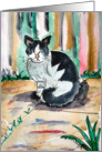 Arty Black and White Cat sat Outside card