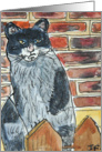 Cat Sat On A Fence card