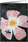 Bee on a flower card