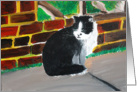 The Cat card