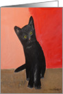 Black Kitten card