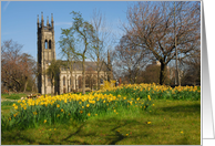 Church and Daffodils