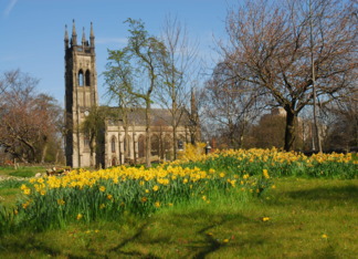 Church and Daffodils