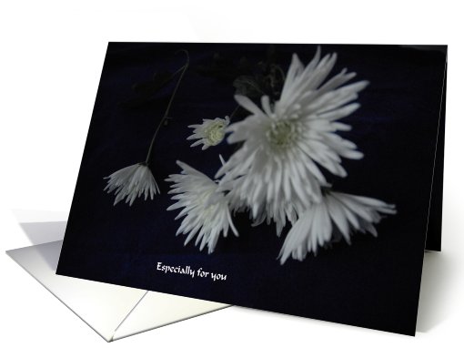 White Flowers on a black cloth card (447393)