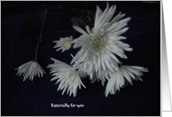 White Flowers on a black cloth card