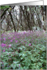 Purple Flowers of La gomara card