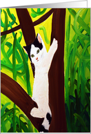 Cat up a Tree card