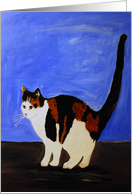 Black and White Cat card