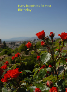 Red Roses