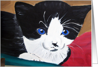 Cute face of a Kitten card