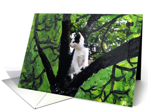 Kitten up a Tree card (718326)