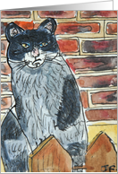 Cat Sat On A Fence card
