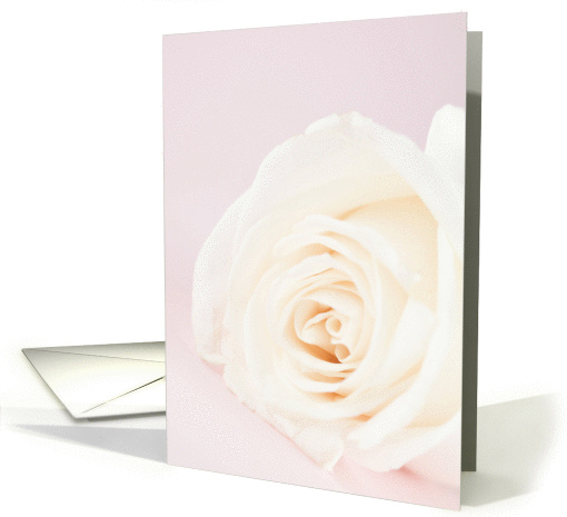 White rose card (439096)