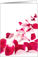 Rose petals card