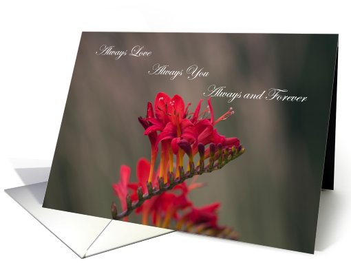 Always Love card (490597)