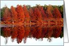 Fabulous Florida Fall card