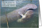 Mother and Baby Manatees card