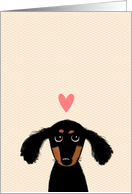 Cute Dachshund with Pink Valentine’s Day Heart card