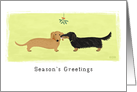 Season’s Greetings to Loved One, Dachsund Mistletoe Kiss card