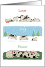 Keeshond Love Joy Peace Christmas card