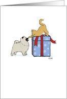 Keeshond Puppy & Kitten card