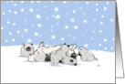 Keeshond with Puppies Snow Holiday card