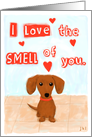 I Love the Smell of You Dachshund Valentine card