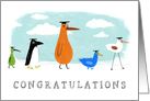 Whimsical Birds Graduation Congratulations card