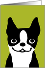 Boston Terrier Hello card