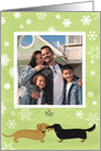 Mistletoe Dachshunds Christmas Photo Template card