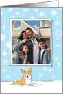 Corgi in the Snow Christmas Photo Template card