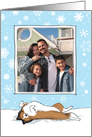 Shetland Sheepdog Holiday Photo Template card