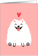 Fluffy White Pomeranian with Pink Valentine’s Day Heart card