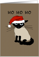 Christmas, Siamese...