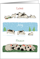 Keeshond Love Joy Peace Christmas card