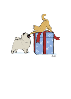 Keeshond Puppy &...
