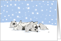 Keeshond with Puppies Snow Holiday card