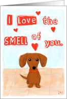 I Love the Smell of You Dachshund Valentine card