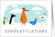 Whimsical Birds Graduation Congratulations card