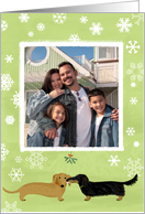 Mistletoe Dachshunds Christmas Photo Template card