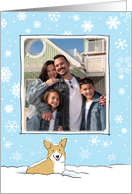 Corgi in the Snow Christmas Photo Template card