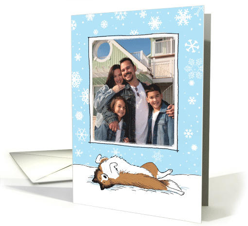 Shetland Sheepdog Holiday Photo Template card (942140)